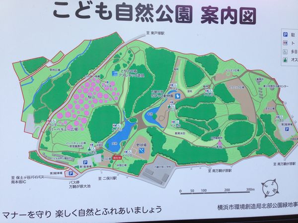 こども自然公園 大池公園 超大型遊具がどこよりもすごい 動物との触れ合いもできる大型公園 ママレポ 旭区 横浜 湘南で子供と遊ぶ あそびい横浜 湘南