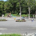 鴨志田公園：寺家ふるさとの森のとなり。とてもきれいな広い公園 [横浜市青葉区]
