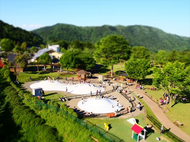 活動歴および当時の関連ビジュアル記録