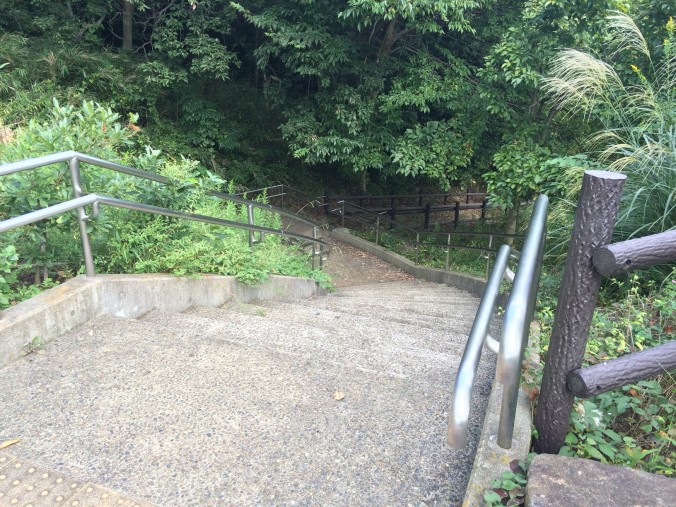 陣ヶ下渓谷公園：横浜にある秘境。本格トレッキングを子供と楽しめる渓谷公園 [保土ケ谷区] 横浜・湘南で子供と遊ぶ