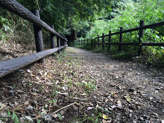 陣ヶ下渓谷公園：横浜にある秘境。本格トレッキングを子供と楽しめる渓谷公園 [保土ケ谷区] 横浜・湘南で子供と遊ぶ