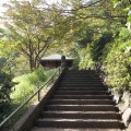 日吉本町鯛ヶ崎公園：駅近なのに気軽に山遊び。OKストア至近で夕食のお買い物もできる公園