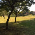 新本牧公園：広い芝生に遊具のある公園。噴水広場も［中区］