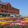 横浜赤レンガ倉庫が、花が咲きほこるガーデンになっています。芝生ゾーンもあって子どもも大はしゃぎ [4/2(土)～4/24(日)]
