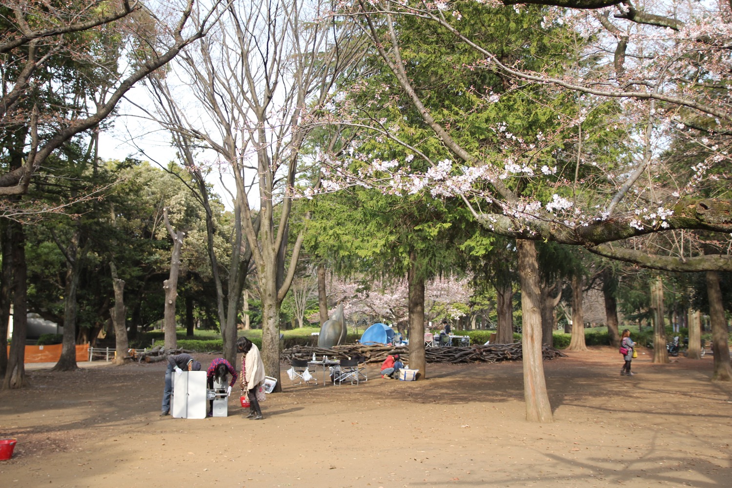 桜の下でバーベキューができる穴場 [大和市・引地台公園] 横浜で子供と遊ぶ あそびい横浜