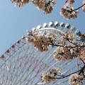 あそびい横浜。2016年もいろいろなところへ行きました、編集部ベスト4。