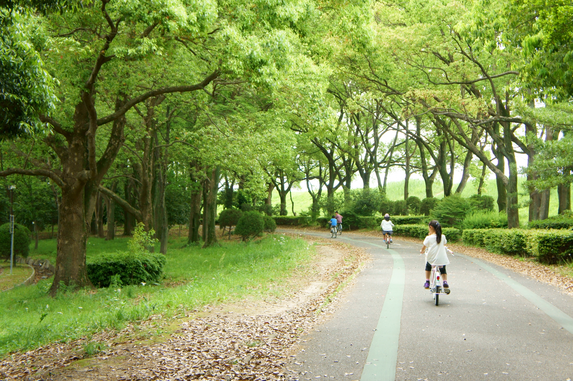 自転車 の 練習 が できる 公園