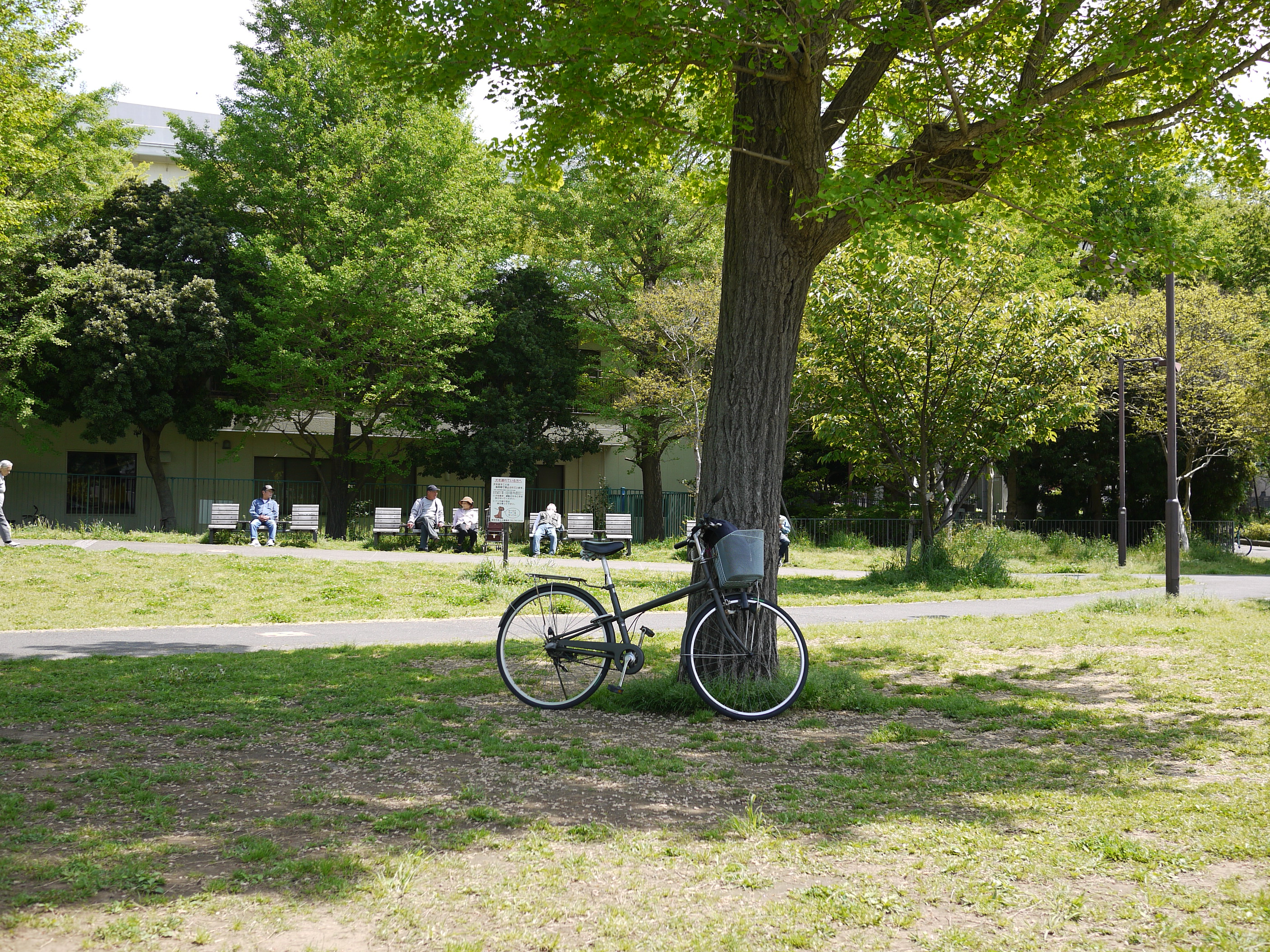 自転車 の 練習 が できる 公園