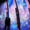 八景島シーパラダイス：水族館でプロジェクションマッピング。「花と光の水族館 楽園のアクアリウム2016 FLOWERS」開催中