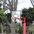 横浜、バスケットボールのできる公園。9選行ってきました。