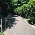 綱島公園・綱島市民の森：子供と一緒に「森」を体験できる。駅から歩けて、遊具も公園で楽しめる、綱島公園と綱島市民の森に行ってきました