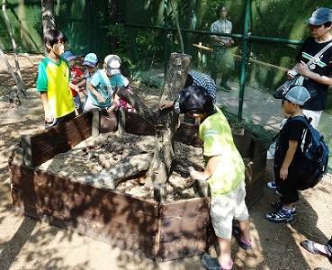 動物園 金沢 【2021年最新】金沢動物園の割引券・クーポン・無料入園日まとめ