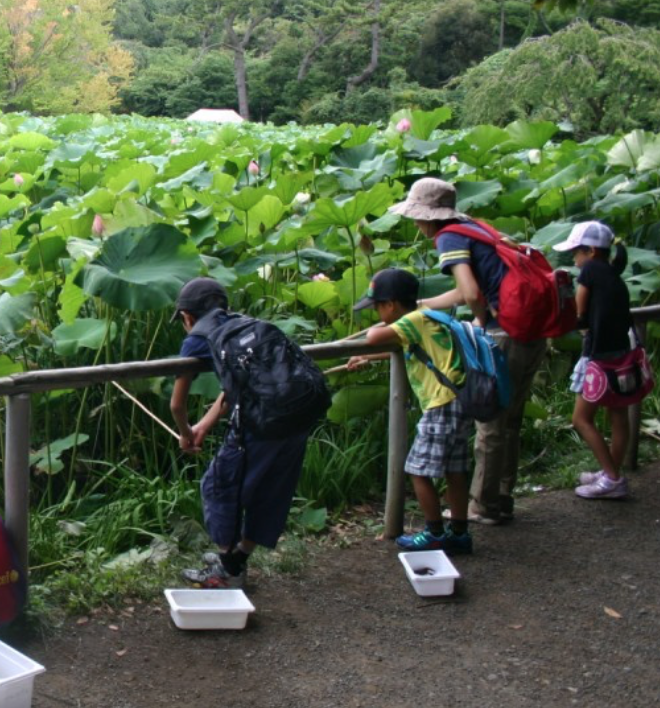 三渓園でザリガニつり 16年版 毎年夏の大人気企画が今年も開催 今から予定を空けてパパとお出かけ 16年8月18日 木 から8月28日 日 横浜 湘南で子供と遊ぶ あそびい横浜 湘南