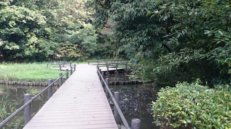 徳生公園、弘明寺公園、谷本公園：コンパクトだけどユニークな公園特集! !(都筑区・南区・青葉区) 横浜・湘南で