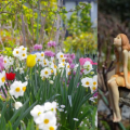 英国庭園で春の花が見頃に。横浜イングリッシュガーデンで「全国都市緑化よこはまフェア」[神奈川県イベントサイトRarea提供記事]