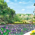 ズーラシア隣にお花がいっぱい「ガーデンネックレス横浜2017」の【里山ガーデン】エリアは、アスレチックも近くに。