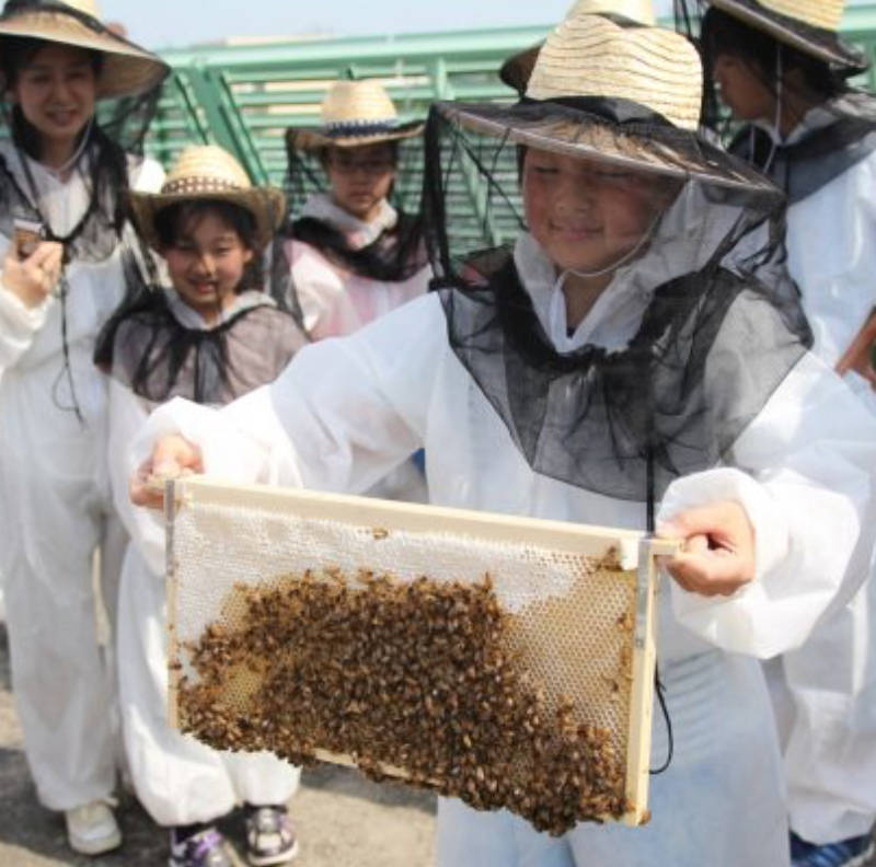 ハチミツ取りに親子で挑戦 大人気のイベントが今年も開催です 國學院大学の万葉エコbeeプロジェクト たまプラーザ 横浜 湘南で子供と遊ぶ あそびい横浜 湘南