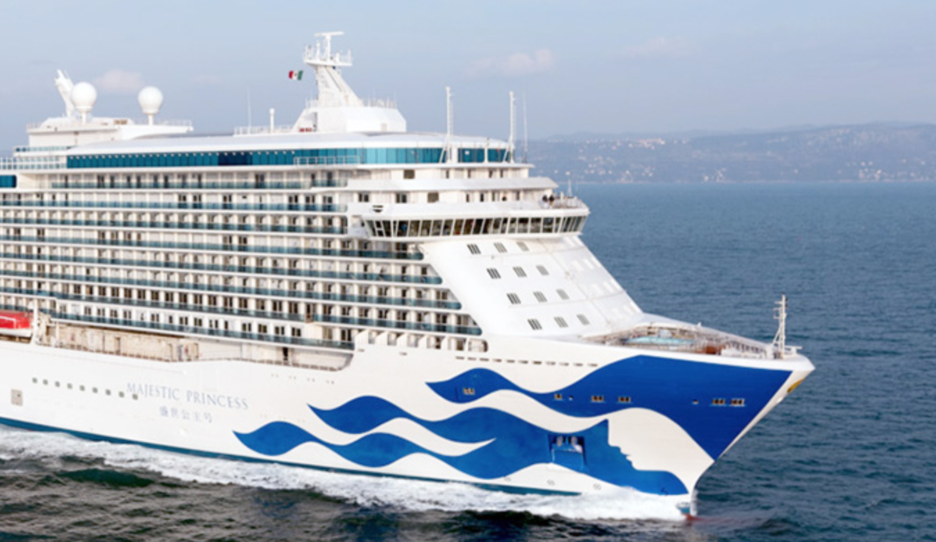 超大型船「マジェスティック・プリンセス」来港。海上から見る見学