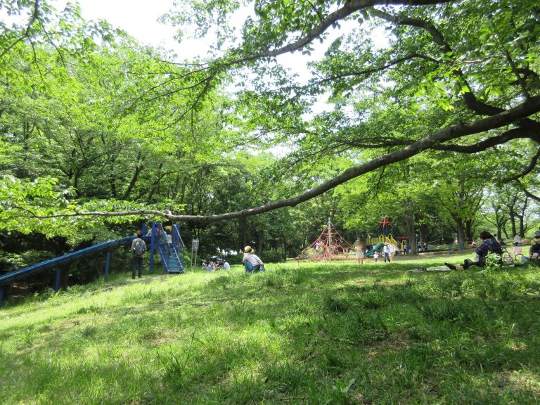 東方公園：プールの後にロングすべり台！都筑プールから歩いて行かれるロングすべり台。穴場公園への行き方はこちら。[都筑