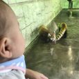 夢見ケ崎動物公園は小さい子とのお出かけにおすすめ。入園無料＆駐車場ありで気軽なお出かけにもぴったり [レポート]