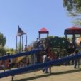 平塚市総合公園：超大型遊具に、トトロ風のくすのきと遊具がある大型公園。ららぽーとも近く1日遊べちゃいます [平塚市]