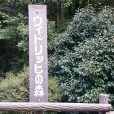 ウイトリッヒの森：横浜市内にある「市民の森」でただひとつ人名がついている珍しい森。外国の雰囲気も感じられる気持ちのいいスポットです。（戸塚区）