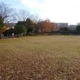 萱場公園（かやばこうえん）：3階建ての段々公園！広い芝生でボール遊び。もうすぐ新しく生まれ変わります［緑区十日市場］