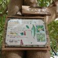 能見台中央公園：どんぐりの種類が豊富で木の実拾いがとっても楽しい！思わず読みたくなる手作りの説明板がたくさんある温かみあふれる公園です。[金沢区]