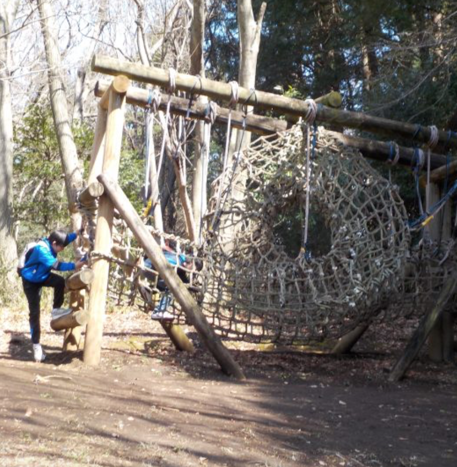 藤沢市少年の森 自然の中でアスレチック 夏にはカブトムシにも会えるアスレチック充実の公園 藤沢市 湘南エリア 横浜 湘南で子供と遊ぶ あそびい横浜 湘南