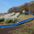 引地川親水公園：ロングすべり台に、遊具いっぱい。川遊びもできますよ。春は桜も楽しめる公園です！（2022年update版）[藤沢市]