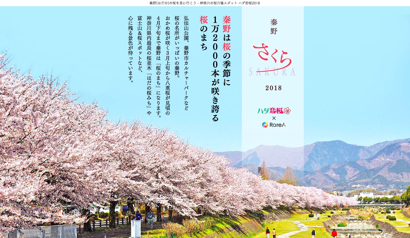 神奈川の隠れた桜スポット 秦野 親子で楽しめるお花見の穴場 3月 4月 横浜 湘南で子供と遊ぶ あそびい横浜 湘南