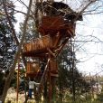 茅ケ崎市市民の森：ツリーハウスがある公園！アスレチックで森を遊びつくす、幼稚園から小学生まで楽しめる穴場