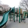 新林公園：桜に、ザリガニ釣り、古民家。子供は思いっきり遊び、家族みんなで四季の自然を感じられる公園です。[藤沢駅から徒歩約20分]