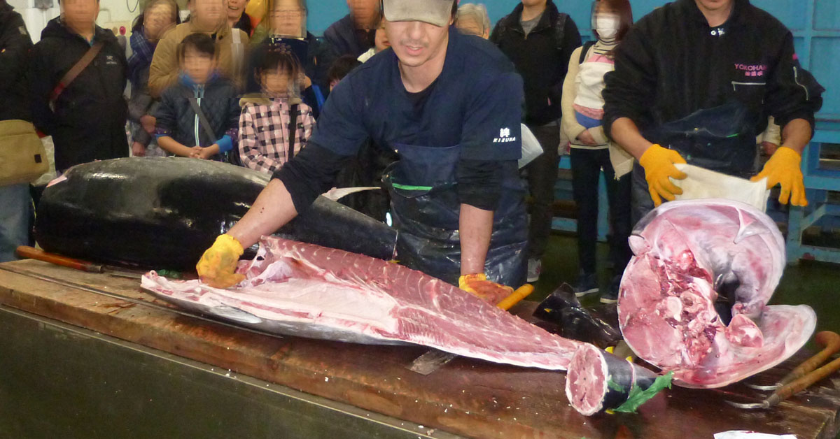 横浜市中央卸売市場本場：親子で「マグロの解体ショー」が見られる！体験イベント満載の一般開放日は市場に行こう。横浜駅から行けます［神奈川区］