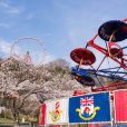 2500本の桜を楽しめる「さがみ湖さくら祭り2018」開催中[4月22日まで(夜桜イルミは4月8日まで)]