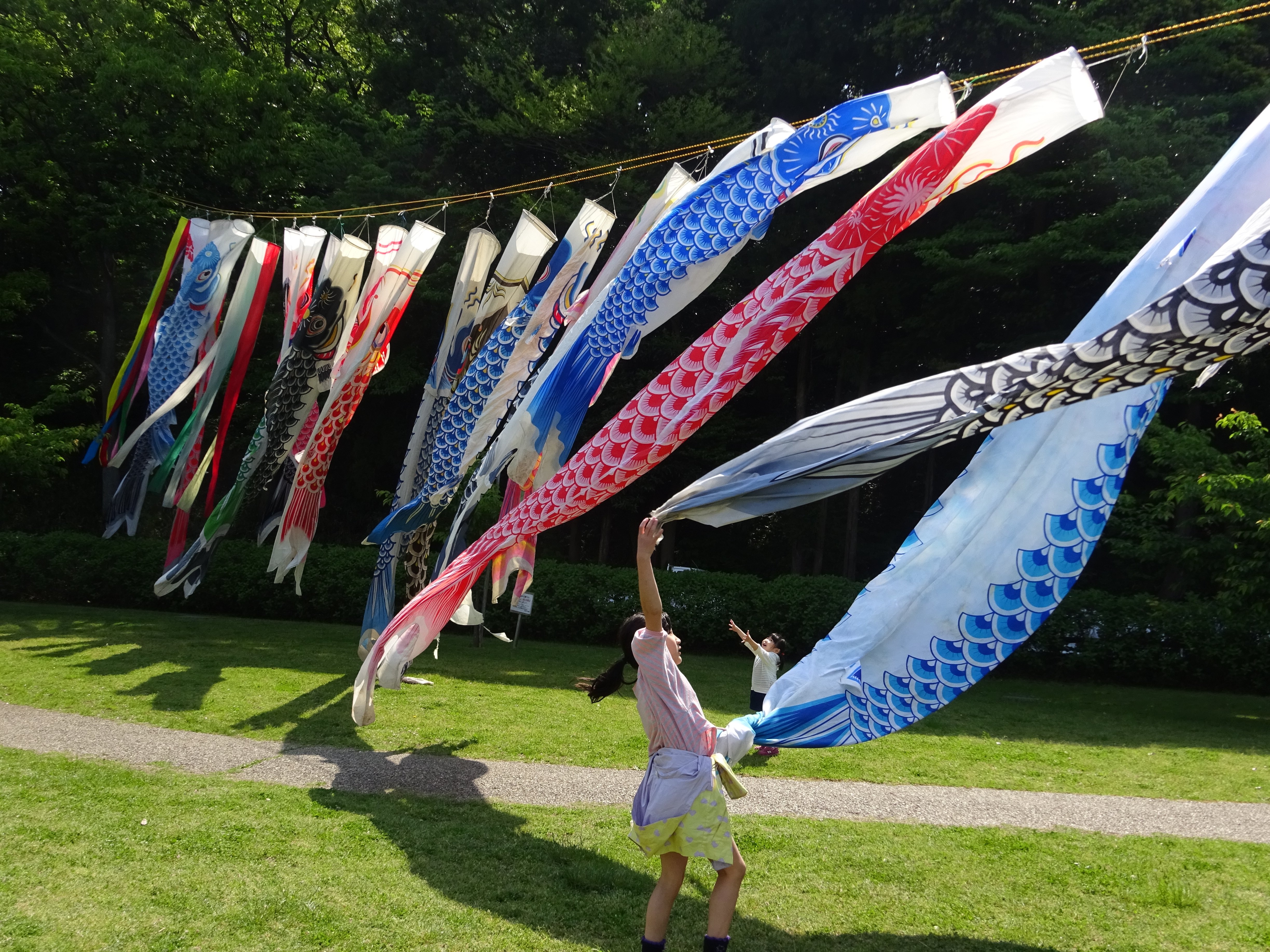 鯉のぼり を見に行こう 大空に伸び伸びと泳ぐ 鯉のぼりスポット イベント5選 湘南 湘南エリア 横浜 湘南で子供と遊ぶ あそびい横浜 湘南