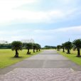 [茅ヶ崎柳島しおさい公園]ここはゴルフ場なのか？！と、目を疑うような芝生が美しい公園。晴れた日は、雄大な富士山や海、丹沢も見渡せる大パノラマ！「広々一番！」を求めるママにおススメ！