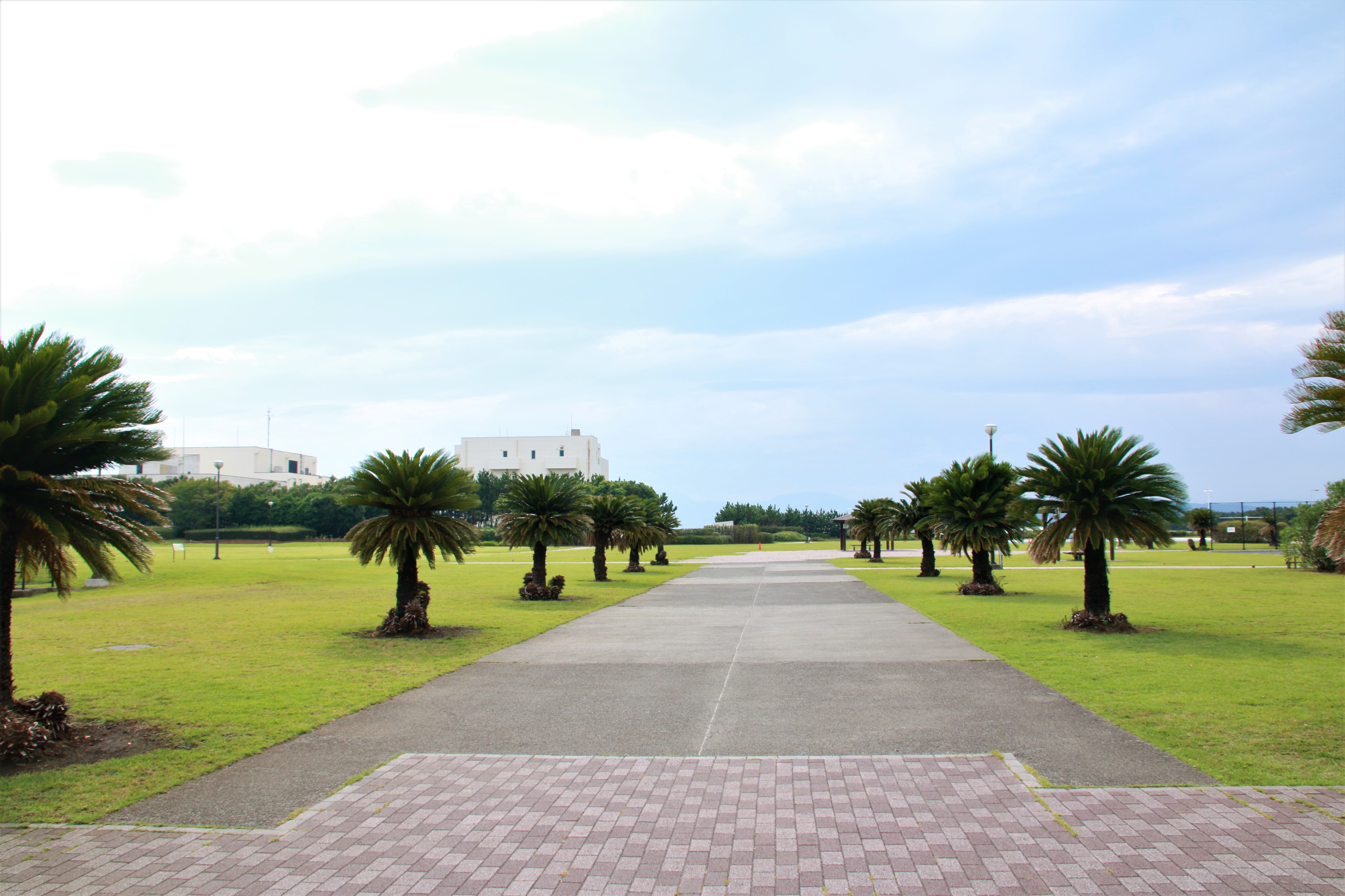 茅ヶ崎柳島しおさい公園 ここはゴルフ場なのか と 目を疑うような芝生が美しい公園 晴れた日は 雄大な富士山や海 丹沢も見渡せる大パノラマ 広々一番 を求めるママにおススメ 湘南エリア 横浜 湘南で子供と遊ぶ あそびい横浜 湘南