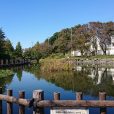 白幡池公園：釣りOK！お子さんの釣りデビューにもぴったり。木製遊歩道から生きもの観察ができる自然豊かな公園です。[神奈川区]