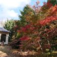 俣野別邸庭園：開放的で美しい庭園はお子さんの写真撮影におすすめ！！晴天時には雄大な富士山も望める穴場のスポット。[戸塚区]