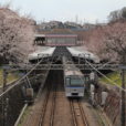 相鉄いずみ野線 弥生台駅の桜が開花！見頃はこれからです[写真レポート 2019年4月2日現在]