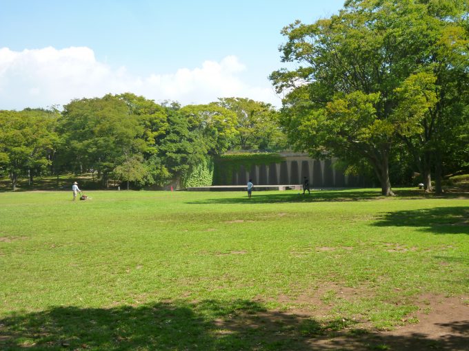 芝生が広い湘南の公園9選 広い公園で気分転換 芝生広場のある公園 藤沢 茅ヶ崎 平塚 湘南エリア 横浜 湘南で子供と遊ぶ あそびい横浜 湘南