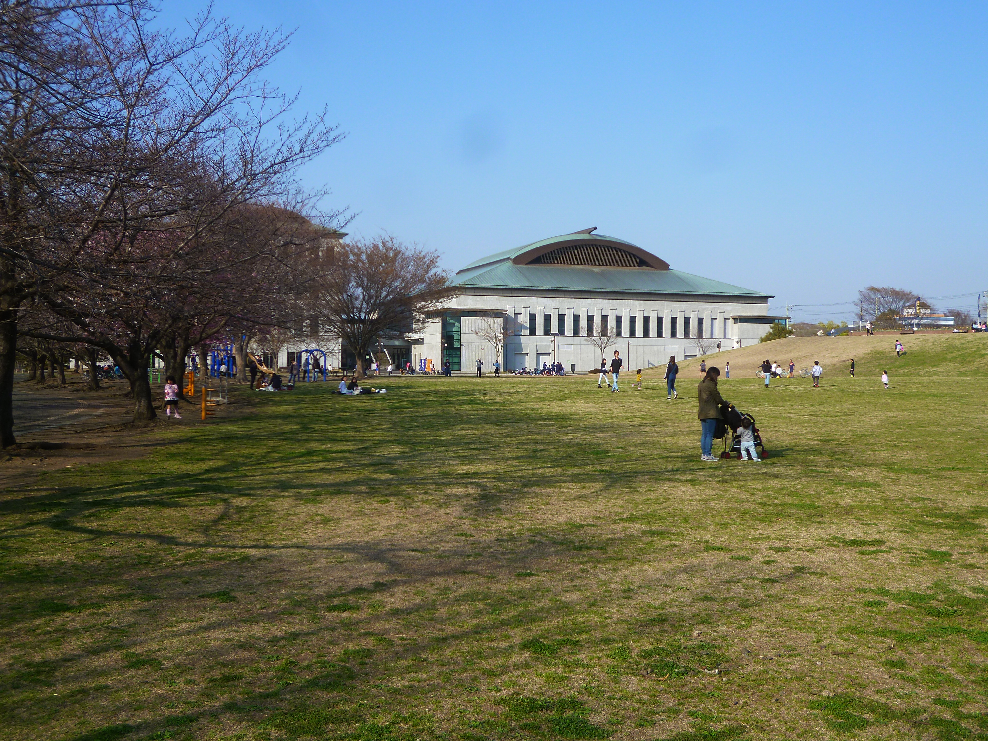 さむかわ中央公園 寒川町役場の隣に位置し 桜の名所としても有名な寒川町を代表する公園 広大な敷地に 芝生広場 の他 シンコースポーツ寒川 アリーナ パンプトラックさむかわ もあります 寒川町 湘南エリア 横浜 湘南で子供と遊ぶ あそびい横浜 湘南