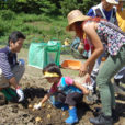 こどもの国でジャガイモ掘り！初夏の園内で親子収穫体験してみよう[応募は6月3日まで、開催は6月15日・16日]