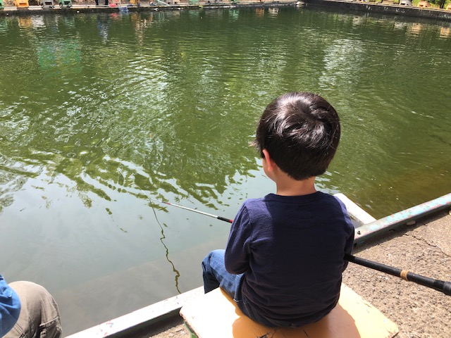 草柳園フィッシングセンター 釣り堀で初めての釣り体験 大和市 横浜 湘南で子供と遊ぶ あそびい横浜 湘南