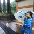 雨の日の過ごし方：梅雨の「こども自然公園」には新しい発見がいっぱい！雨の日に子供とお出かけしてみました♪