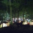 箱根・ポーラ美術館でキャンプイベント！アートと自然に囲まれて1日過ごそう[9月7日・8日開催、7月13日応募締切]