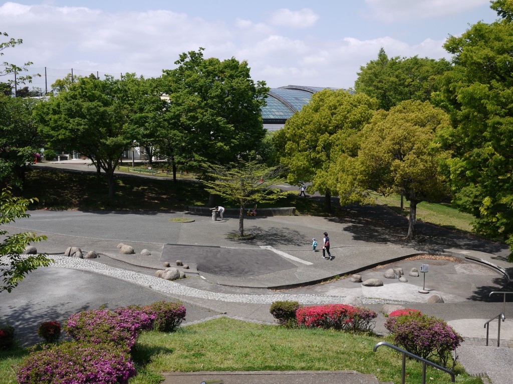 夏休みは清水ヶ丘公園で思いっきり遊ぼう!話題のタグラグビー体験に自由研究お助けイベント、室内プールもあってもりだくさん! 横浜・湘南で子供