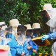 小田原フラワーガーデンでみつばちを見よう！「養蜂体験 みつばちのヒミツ」[9月7日〜申込受付、9月21日開催]
