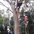 ちょっとドキドキ木登り体験！四季の森公園で『ツリーイング（tree+ing）ロープで木登りしてみよう』が開催されます。［10月27日開催：当日受付］